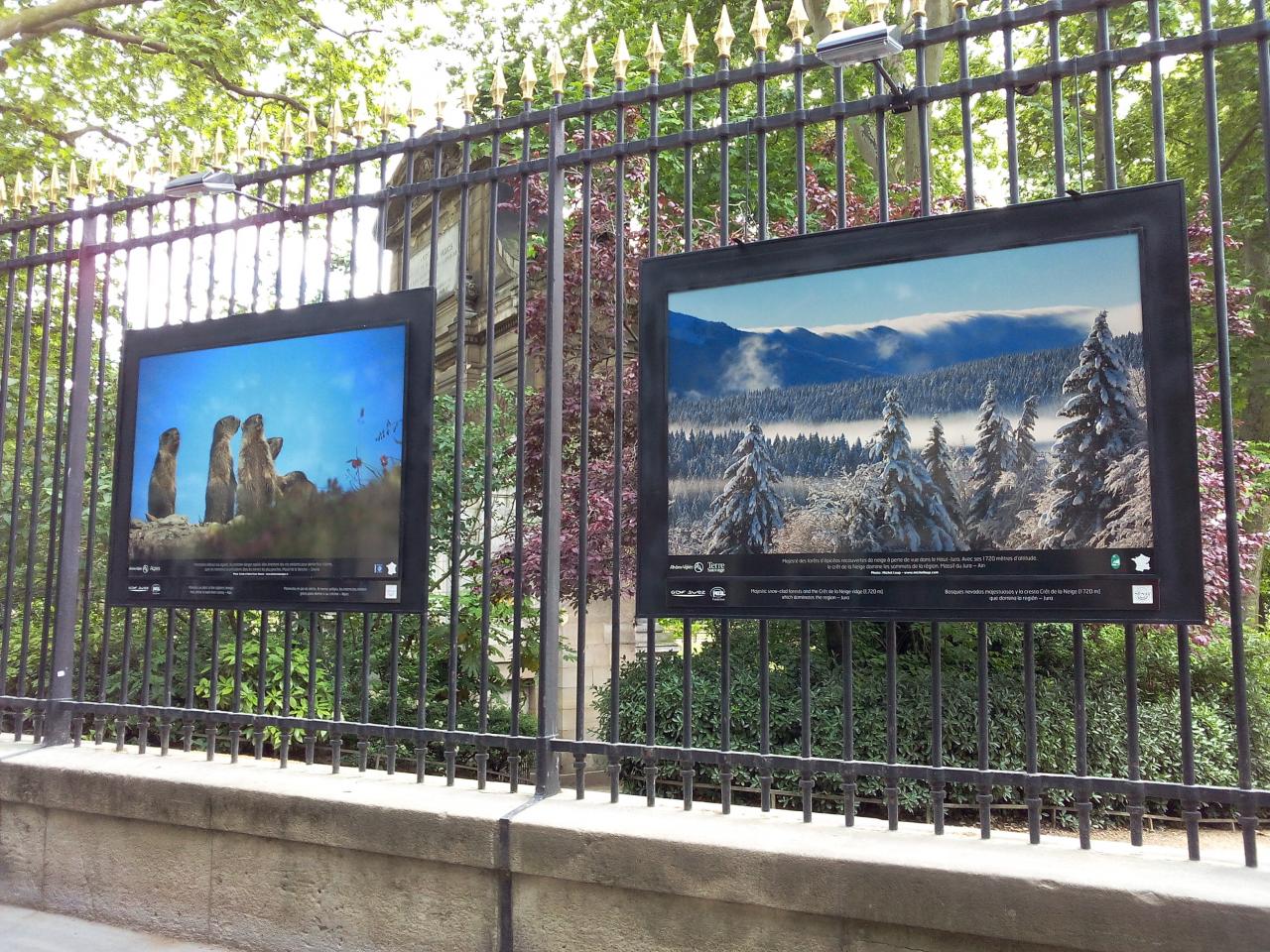 Exposition photos aux grilles du Jardin du Luxembourg