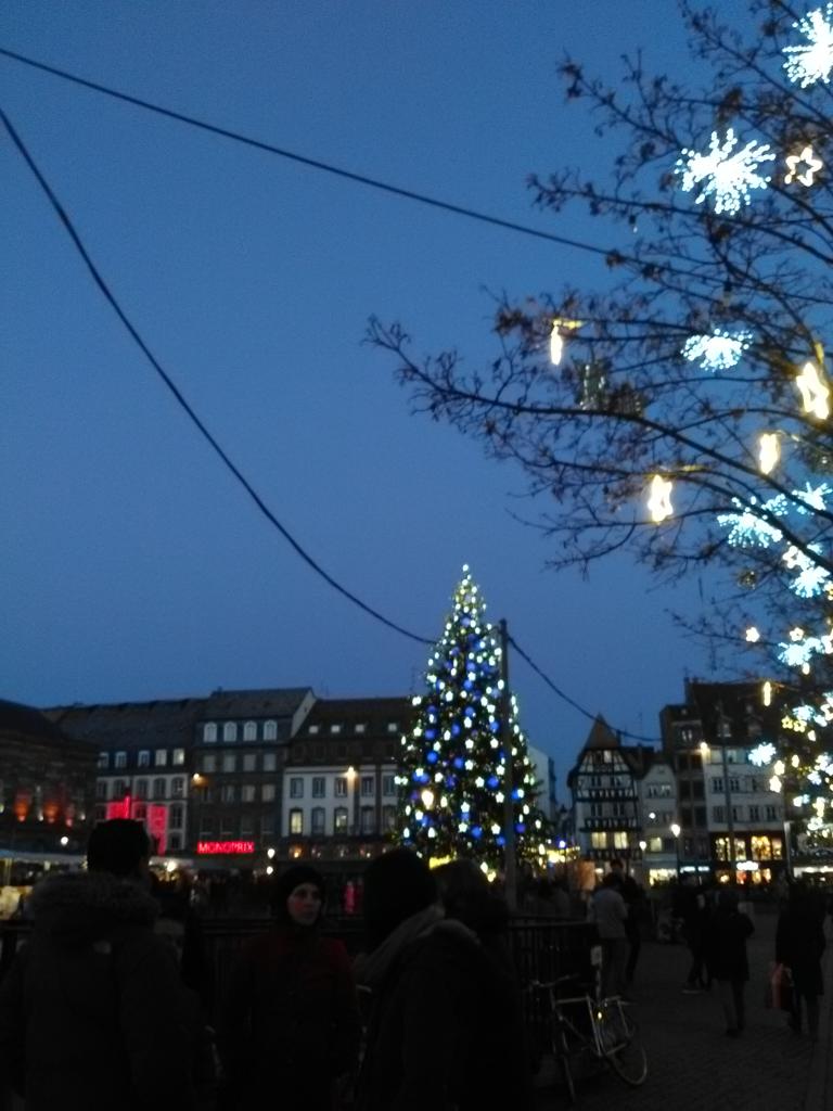 Le sapin au centre de Strasbourg 