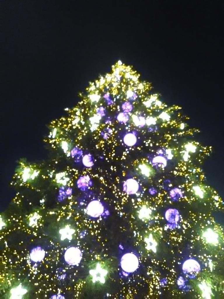 Le sapin au centre de Strasbourg