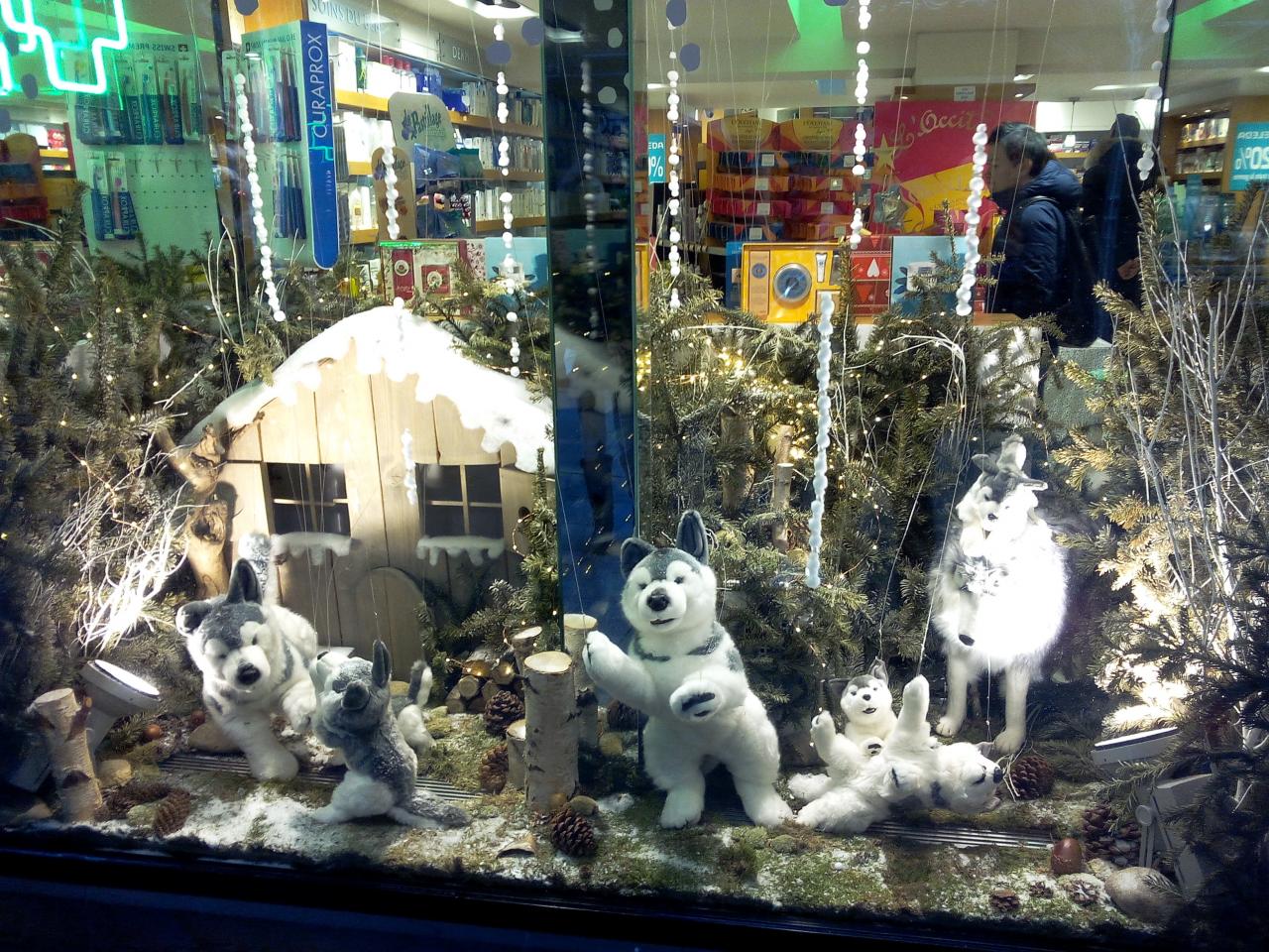 Devanture décorée d'un magasin