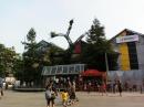 La branche prototype de l'arbre aux Hérons