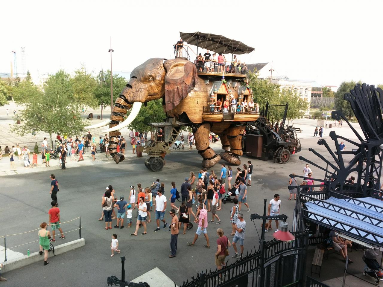Le grand Eléphant