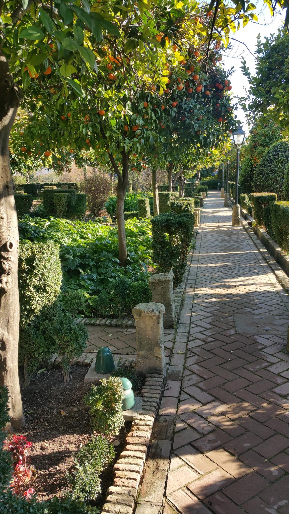 Jardin du palais