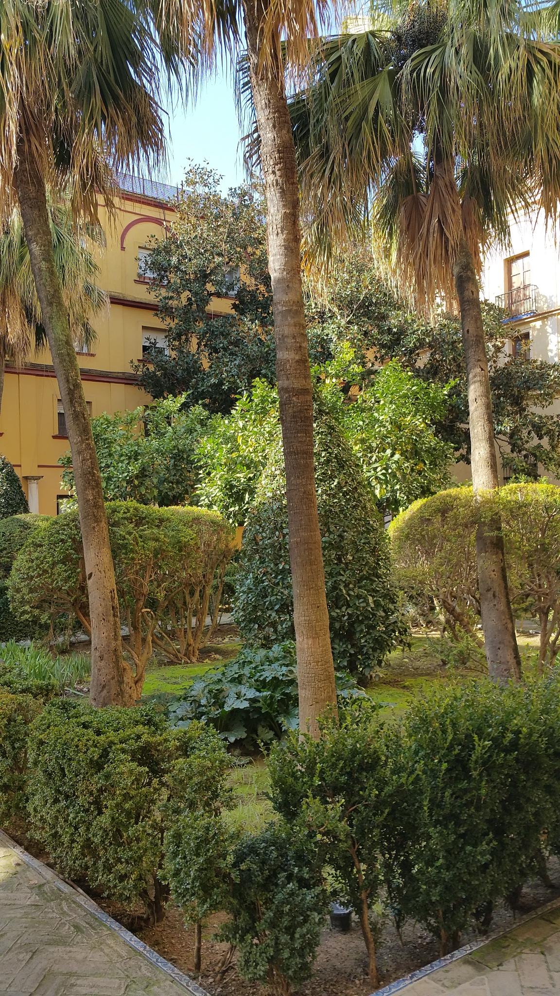 Jardin du palais Alcazar 2