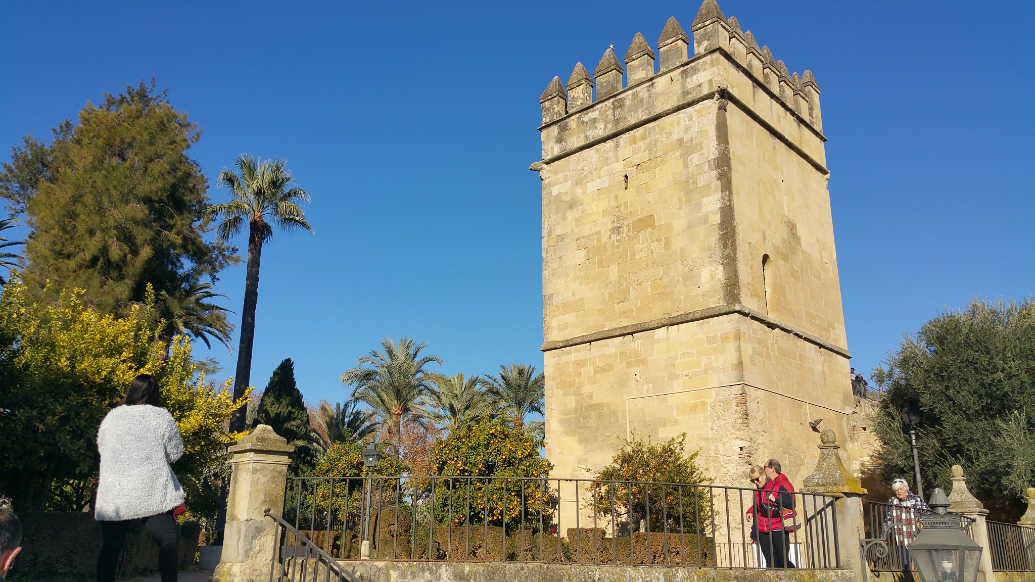 Real Alcazar 1