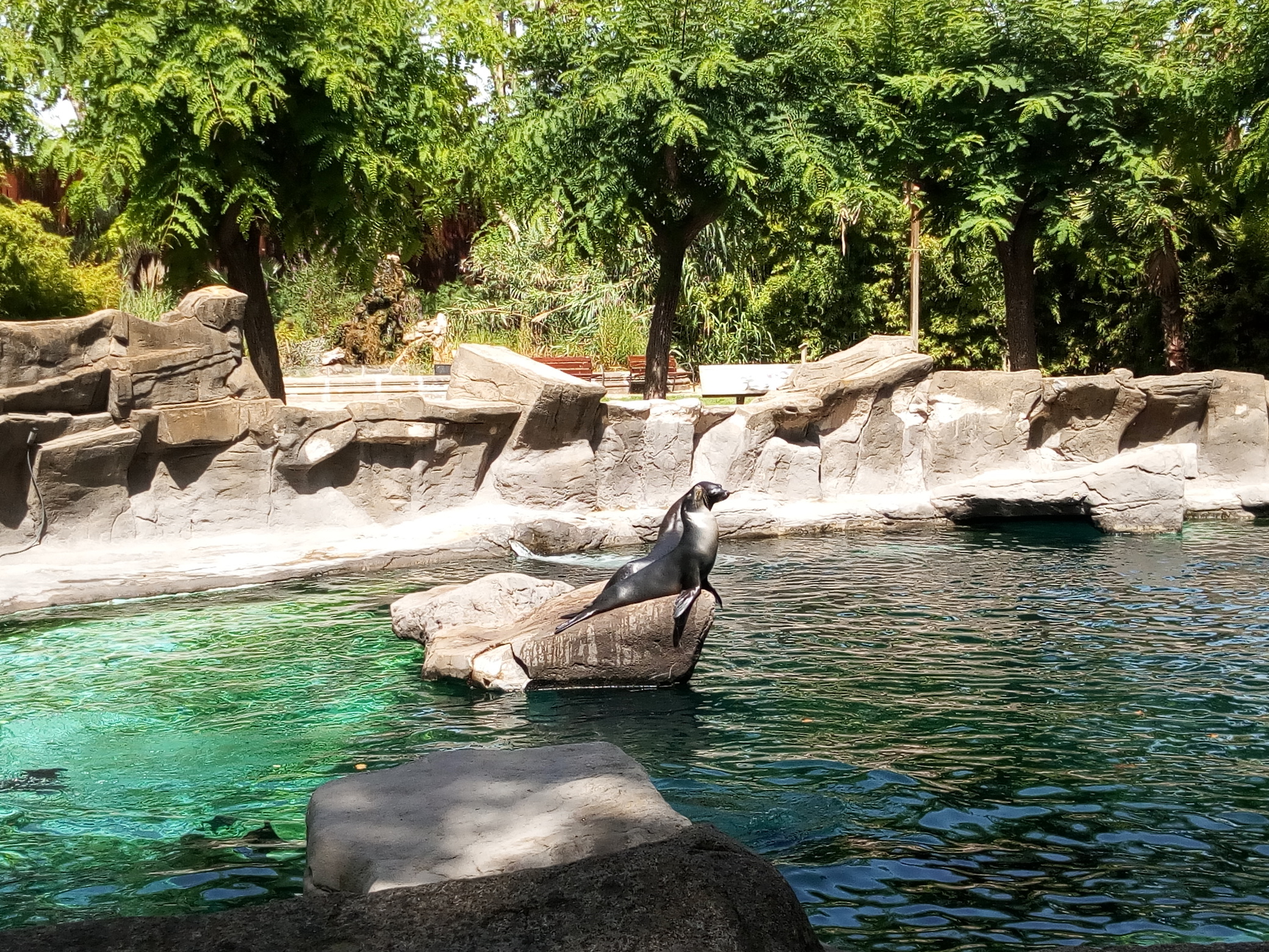 Zoo de Barcelone 7
