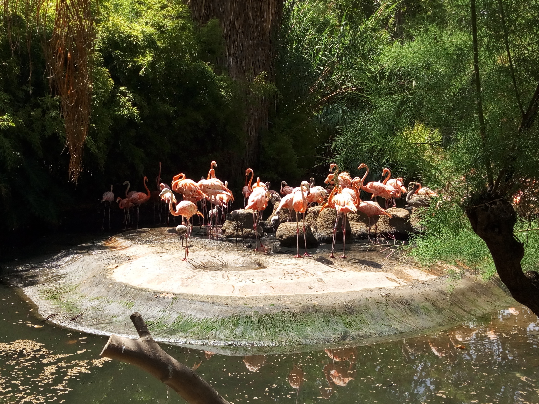 Zoo de Barcelone 8