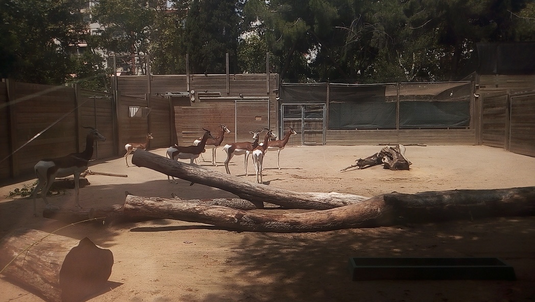 Zoo de Barcelone 9